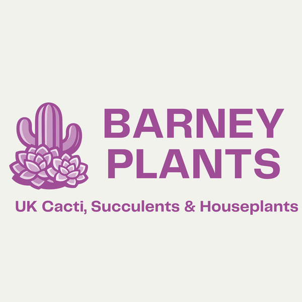 Barney Plants - Cacti, Succulents & Other  plants