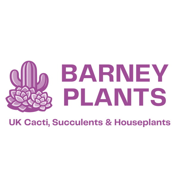 Barney Plants - Cacti, Succulents & Other  plants