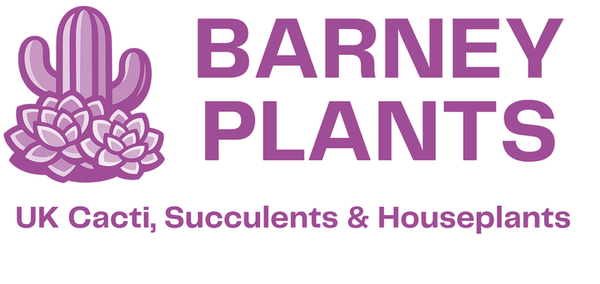 Barney Plants - Cacti, Succulents & Other  plants